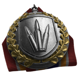 アサルトライフルメダル.png アサルトライフルメダル.png