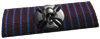 チームデスマッチリボン.png チームデスマッチリボン.png