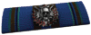 分隊デスマッチリボン.png 分隊デスマッチリボン.png