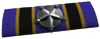 分隊一掃リボン.png 分隊一掃リボン.png