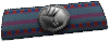奪取スペシャリストリボン.png 奪取スペシャリストリボン.png