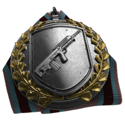 DMRメダル.png DMRメダル.png