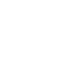 Star3.png Star3.png