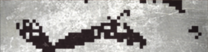 インク ブロット.png インク ブロット.png