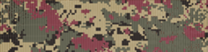 不明13.png 不明13.png